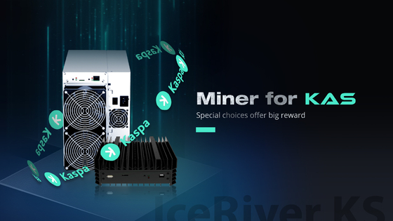 Iceriver KAS100 GH/S Hashrate, entrada del voltaje ca 100-240V, conexión de Ethernet