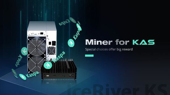 Conexión Ethernet KAS Miner Iceriver KS0 Pro 200GH 100Watt